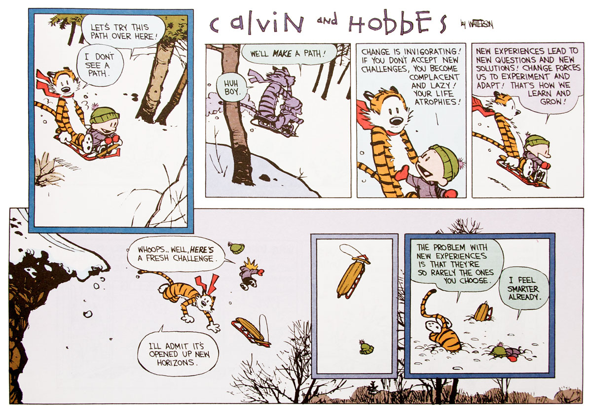 calvin and hobbs philosophy calvin and hobbs philosophy